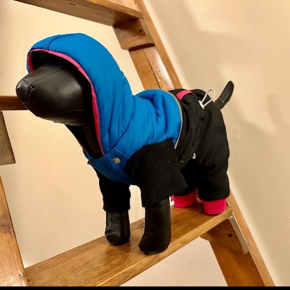 Dog Clothes